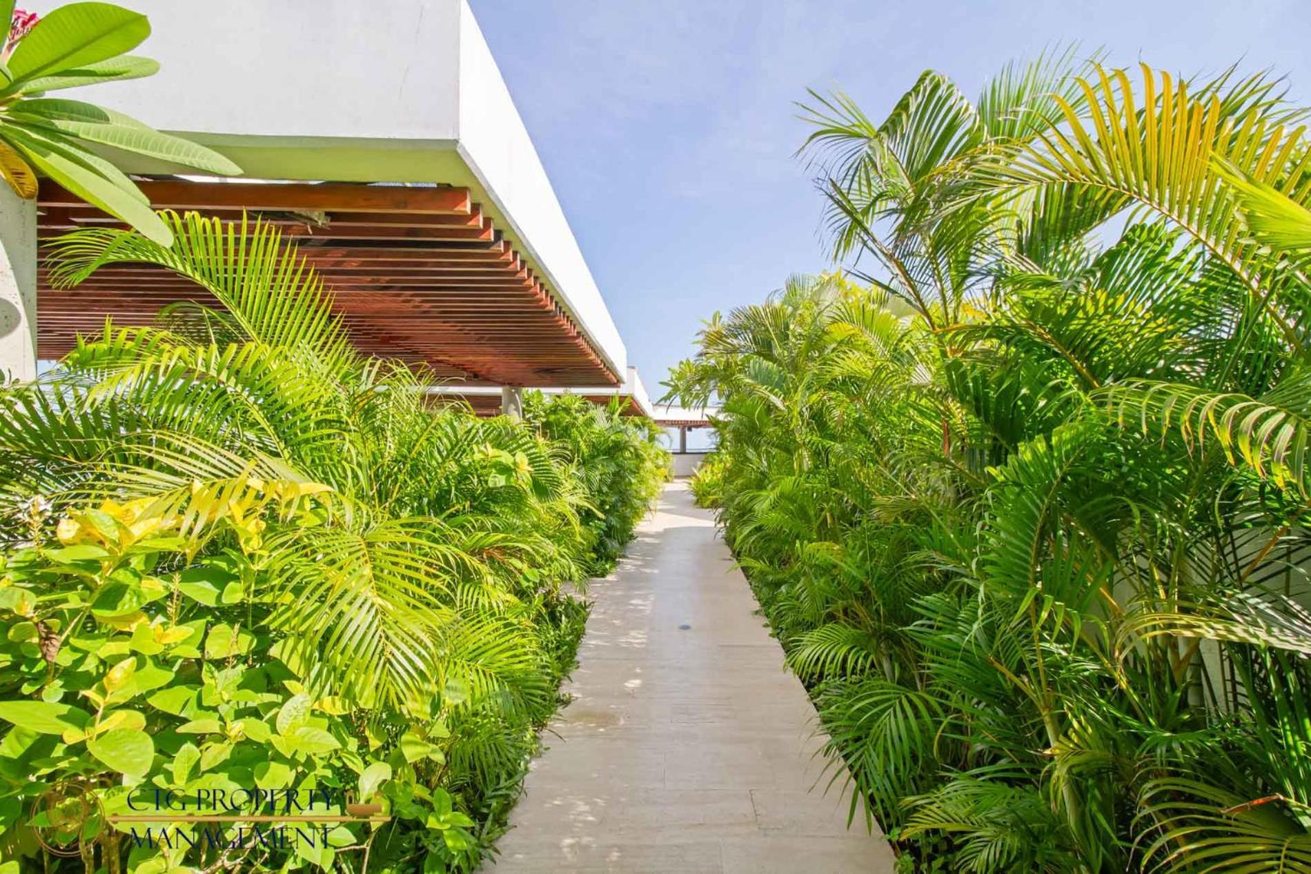 Martinique Cartagena - Apartamentos A Corta Caminata De Playa Azul Bagian luar foto